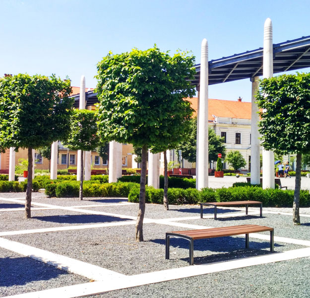 Let's Achieve Your Goals Together