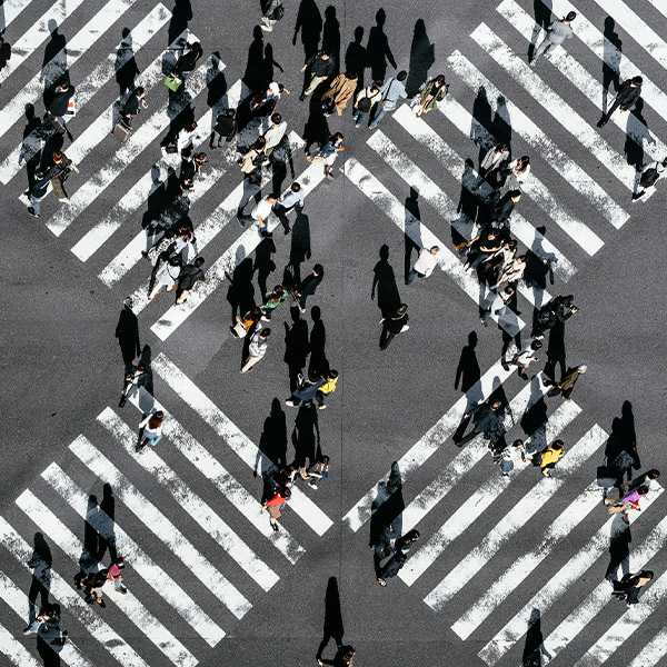 High Quality Reporting